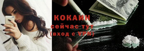 дмт Вяземский