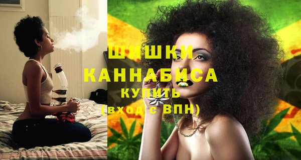 дмт Вяземский