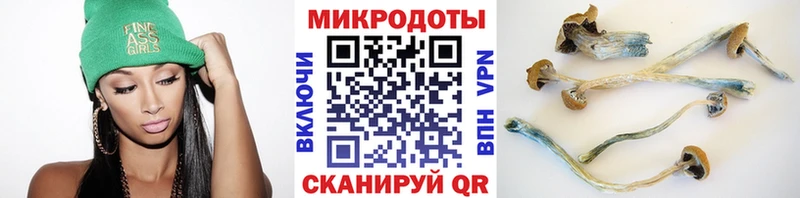 Купить где Карабаш Галлюциногенные грибы мухоморы